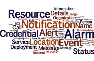 Emergency Management word cloud image